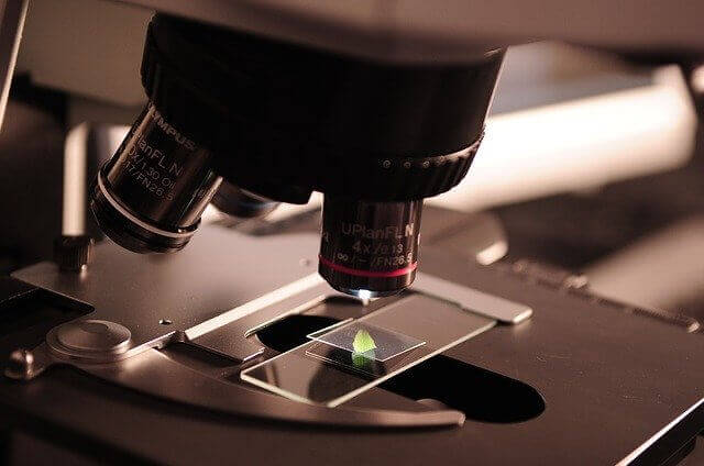 Μικροσκόπιο : Πώς λειτουργεί το μικροσκόπιο;
