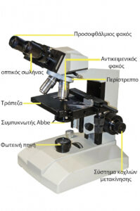 Μικροσκόπιο : Πώς λειτουργεί το μικροσκόπιο;